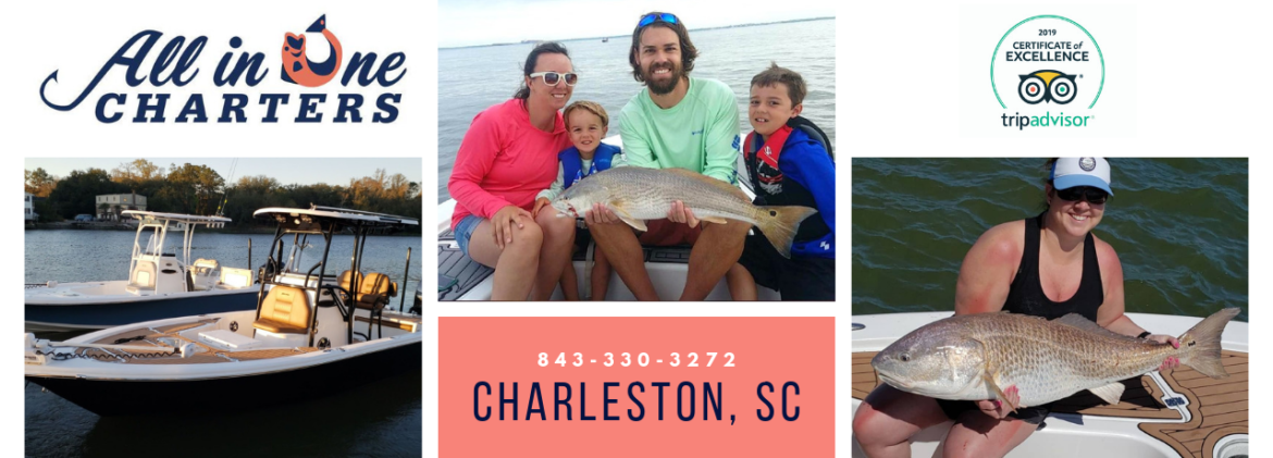 all-in-one-fishing-charters-inshore-fishing-charters-in-charleston-sc